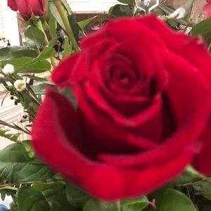 Meet your Posher, Marina